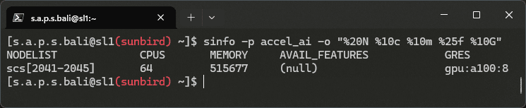 sinfo accel_ai output 1