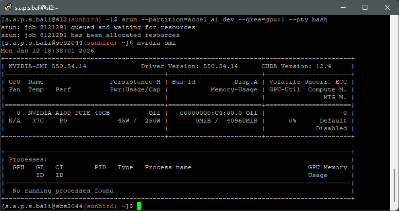 srun nvidia-smi output 1