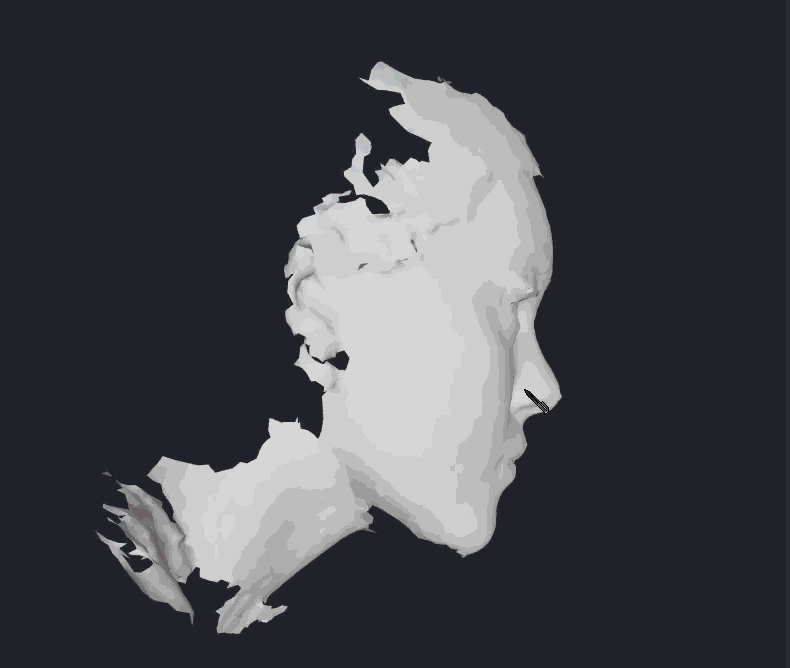 3D reconstruction animation